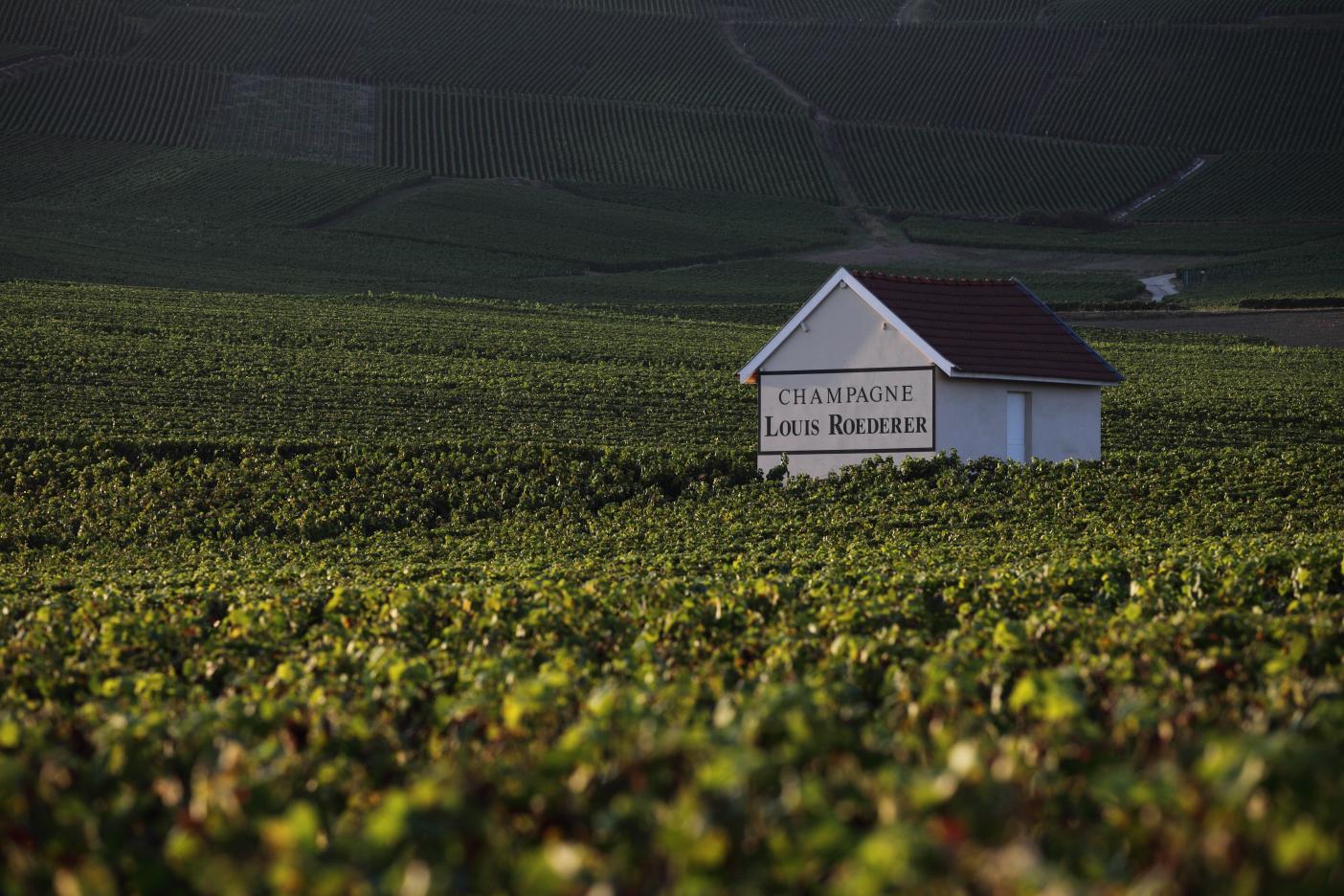 Read more about the article Louis Roederer im Bischoff-Club